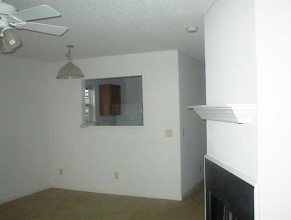 Gallery Photo 2